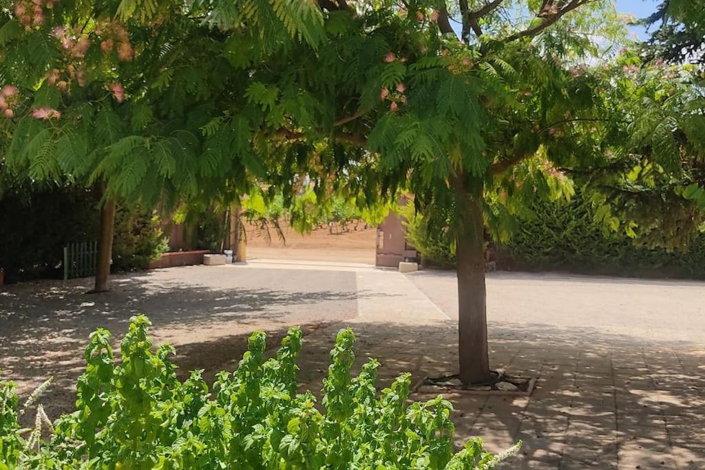 Finca El Pilar Madridejos Exterior photo